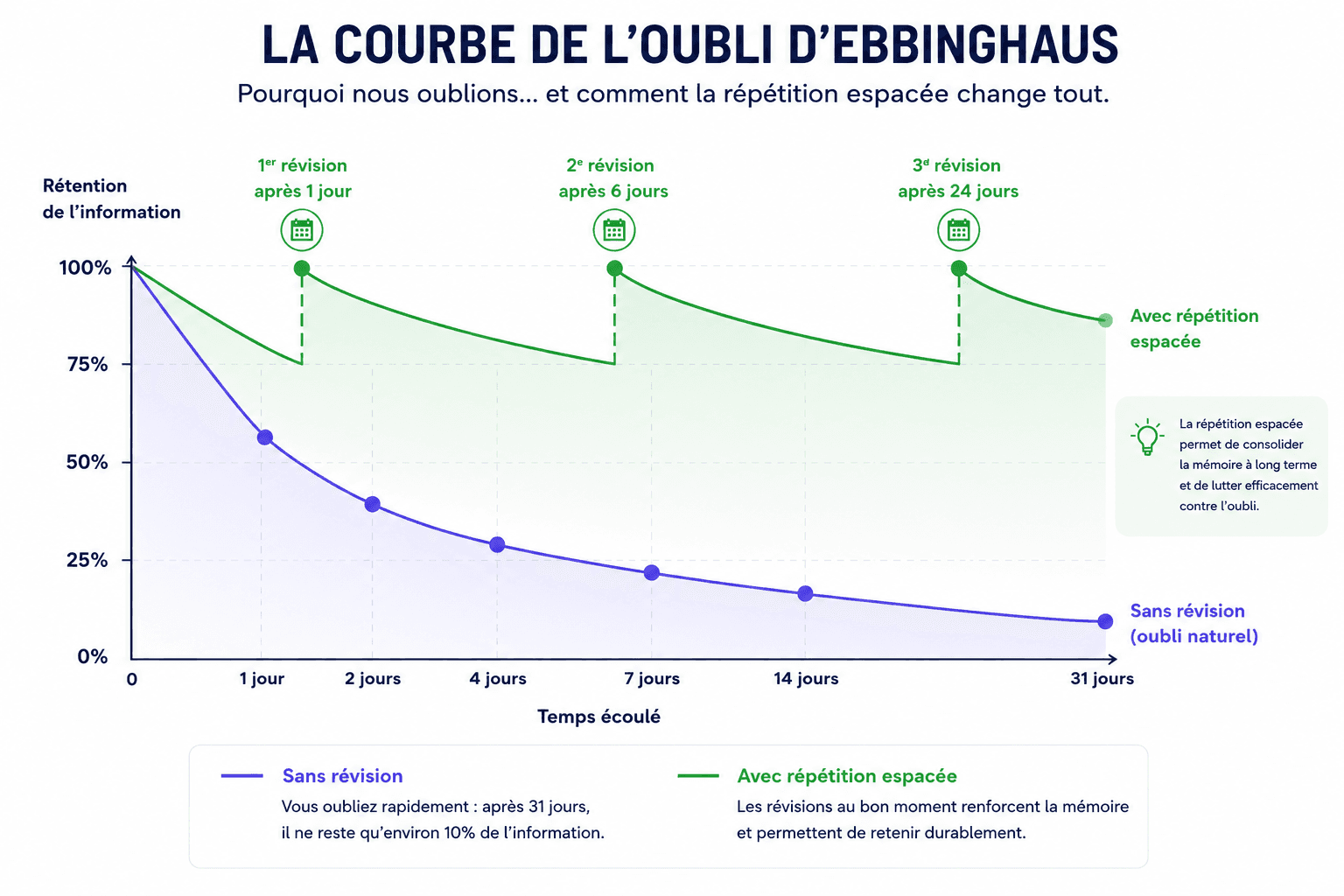 Graphique de la courbe de l’oubli d’Ebbinghaus montrant la perte de mémoire dans le temps et l’effet de la répétition espacée sur la rétention des informations